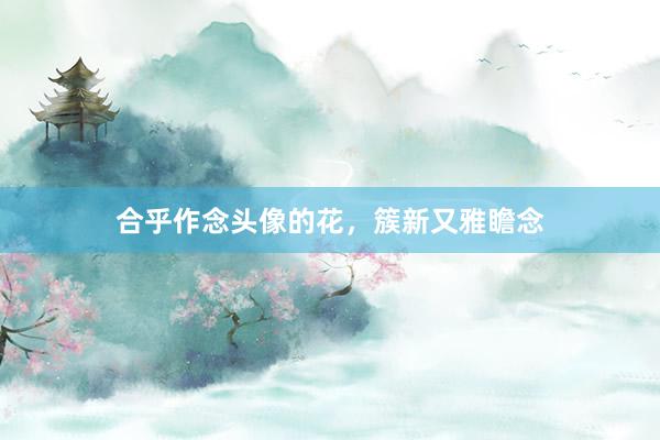合乎作念头像的花，簇新又雅瞻念