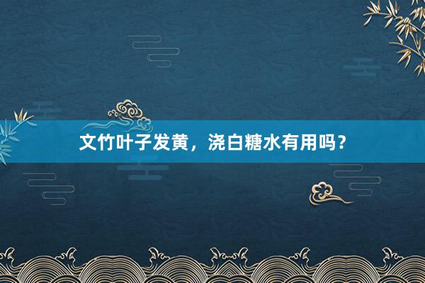 文竹叶子发黄，浇白糖水有用吗？