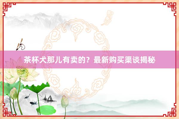 茶杯犬那儿有卖的？最新购买渠谈揭秘