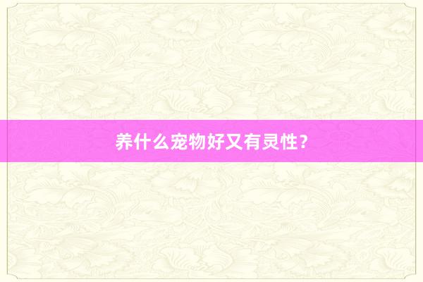 养什么宠物好又有灵性？