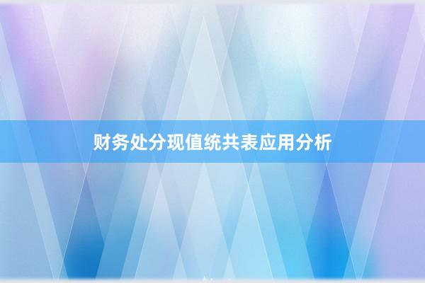 财务处分现值统共表应用分析