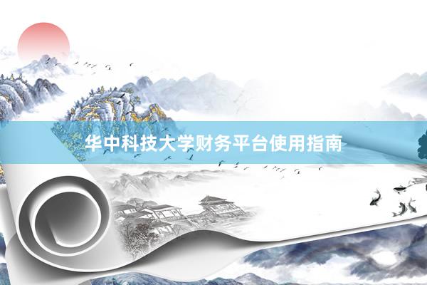 华中科技大学财务平台使用指南