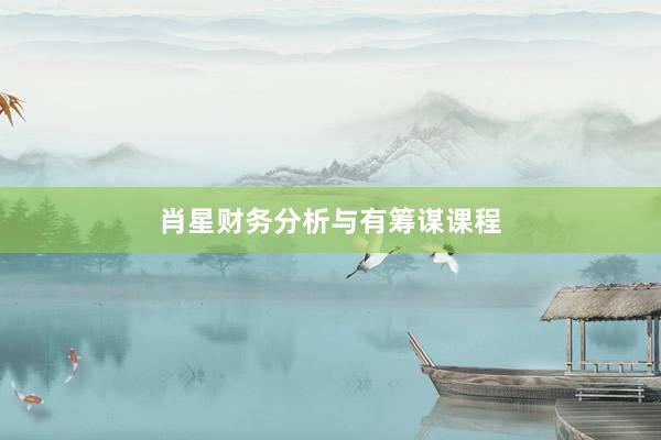 肖星财务分析与有筹谋课程